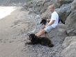 perros al la playa.JPG